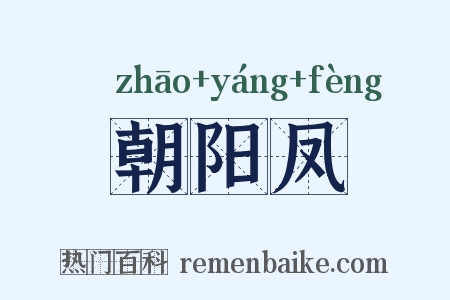 朝阳凤是什么意思的图片